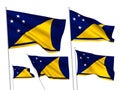 Vector flags of Tokelau Royalty Free Stock Photo