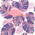 Vector Flamingo Tropical Leaves Ultra Violet Background