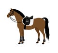 Vector flat bay horse with saddle and bridle Royalty Free Stock Photo