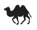 Vector flat black bactrian camel silhouette Royalty Free Stock Photo