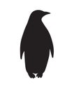 Vector flat black emperor penguin silhouette Royalty Free Stock Photo