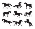 Vector flat black set bundle of horse silhouette Royalty Free Stock Photo