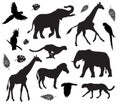 Vector black set of african animals silhouette Royalty Free Stock Photo