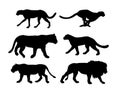 Vector flat black set of wild cats silhouette Royalty Free Stock Photo