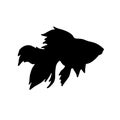 Vector flat black silhouette of golden fish Royalty Free Stock Photo