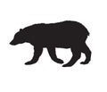 Vector flat black silhouette of grizzly bear