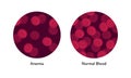 Vector flat blood cell illustration. Red gradient erythrocytes in set of circle frames isolated on white background. Concept of Royalty Free Stock Photo