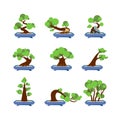 Vector Flat Bonsai Styles Set. Green bonsai trees icons on white background.