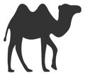 Vector Flat Camel Icon Royalty Free Stock Photo