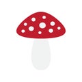 Vector flat cartoon fly agaric mushroom icon Royalty Free Stock Photo