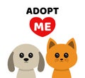 Adopt me. Dont buy. Dog Cat Pet adoption. Royalty Free Stock Photo