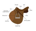 Vector flat cartoon saddle parts names