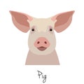 Vector flat, cartoon style pig head