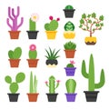 Vector flat colorful set of various cactus Royalty Free Stock Photo