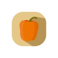 Flat design orange capsicum