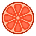 Vector Flat Design Icon Round Slice of Grapefruit Royalty Free Stock Photo