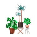 Vector flat design interior plants illustrations set