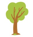 Vector flat drawing of tree with full leaves. Isolated on white background. Cartoon nature image for ecology and environmental Royalty Free Stock Photo