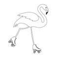 Vector flat flamingo riding roller skates