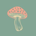 Vector flat fly agaric mushroom icon isolated. amanita Royalty Free Stock Photo