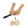 Vector flat food illustration of process of potato peeling