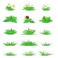 Vector flat grass set Royalty Free Stock Photo