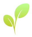 Vector flat green leaf. Vegan food stylize element. Royalty Free Stock Photo