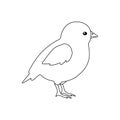 Vector flat hand drawn outline chicken chick