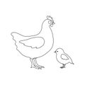 Vector flat hand drawn outline chicken and chick