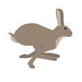 Vector flat hand drawn running hare Royalty Free Stock Photo