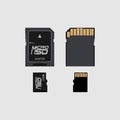 Vector of flat icon micro SD connector on background