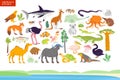 Vector flat illustration of Australia animals, seaside, plants