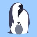 Vector flat illustration Penguin family.