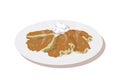 Vector flat illustration of potato pancakes on the plate with sour cream for culinary recipes, menu, cooking process diagram,