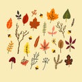 Vector flat illustration with set of autumn leaves