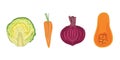 Vector flat illustration of vegetables: cabbage, beet, carrot, pumpkin for vegan food, recipes, culinary ingredients, menu,