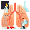 Vector flat illustrations, large human lungs on a white background