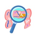 Vector flat intestine with a magnifying glass