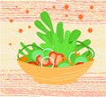 Vector flat isolated illustration salad dish vegetables, tomato, cucumber, cabbage, onion, bell pepper.