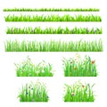 Vector flat isolated seamless grass lines with flower, butterfly