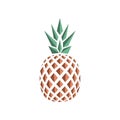 Vector flat logo design of pineapple