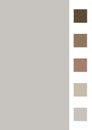 Vector flat minimalistic template with squares of the color palette. Trendy abstract gray background with place for text.