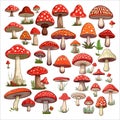 Vector Flat Mushroom Icon Set Isolated. Amanita Muscaria, Fly Agaric Sign, Mushrooms Collection. Magic Mushroom Symbol. Edible Royalty Free Stock Photo