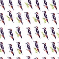 Vector flat seamless pattern with hand drawn forest woodpecker birds and green brunch elements isolated on white background. Royalty Free Stock Photo