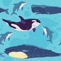 Vector flat seamless pattern with hand drawn marine animals, whale, dolphin, water on white background.