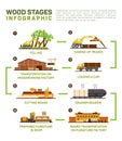 Vector flat set of wood production. Felling, Sawing up trucks, transportation to the wood factory, cutting board