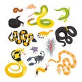 Vector flat snakes and other danger animals.