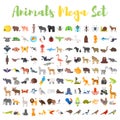 Vector flat style big set of animals.