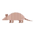 Vector flat style illustration of armadillo. Royalty Free Stock Photo