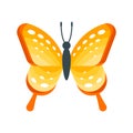 Vector flat style illustration of butterfly.